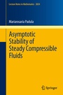 Bild: Asymptotic Stability of Steady Compressible Fluids - Springer