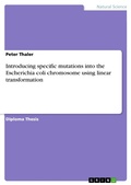 Cover: Introducing specific mutations into the Escherichia coli chromosome using linear transformation - GRIN Verlag