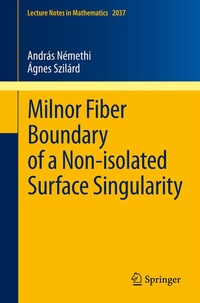 Abbildung von: Milnor Fiber Boundary of a Non-isolated Surface Singularity - Springer