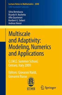 Enlarge image Cover: Multiscale and Adaptivity: Modeling, Numerics and Applications - Springer