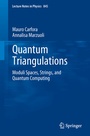 Cover: Quantum Triangulations - Springer