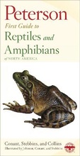 Cover: Reptiles and Amphibians - Houghton Mifflin (Trade)