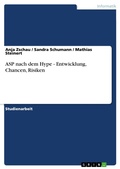 Cover: ASP Nach Dem Hype - Entwicklung, Chancen, Risiken - GRIN Verlag
