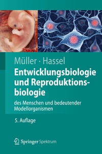 Abbildung von: Entwicklungsbiologie und Reproduktionsbiologie des Menschen und bedeutender Modellorganismen - Springer Spektrum