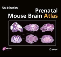 Abbildung von: Prenatal Mouse Brain Atlas - Springer