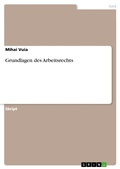 Cover: Grundlagen des Arbeitsrechts - GRIN Verlag