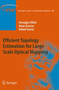 Abbildung von: Efficient Topology Estimation for Large Scale Optical Mapping - Springer