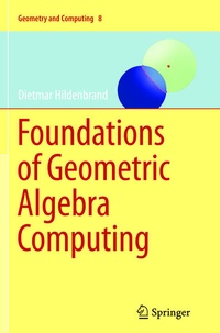 Enlarge image Cover: Foundations of Geometric Algebra Computing - Springer