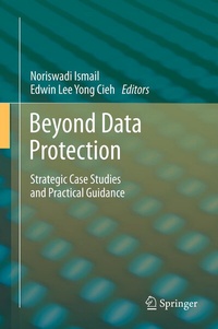 Abbildung von: Beyond Data Protection - Springer
