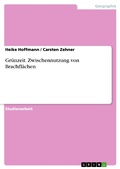 Cover: Gr&uuml;nzeit. Zwischennutzung von Brachfl&auml;chen - GRIN Verlag