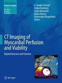 Abbildung von: CT Imaging of Myocardial Perfusion and Viability - Springer