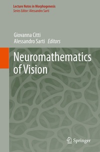 Abbildung von: Neuromathematics of Vision - Springer