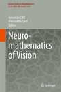 Cover: Neuromathematics of Vision - Springer