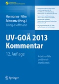 Cover: UV-GO&Auml; 2013 Kommentar - Arbeitsunf&auml;lle und Berufskrankheiten - Springer