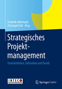 Abbildung von: Strategisches Projektmanagement - Springer Gabler