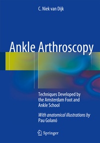 Abbildung von: Ankle Arthroscopy - Springer