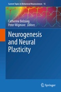 Abbildung von: Neurogenesis and Neural Plasticity - Springer
