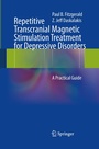 Cover: Repetitive Transcranial Magnetic Stimulation Treatment for Depressive Disorders - Springer