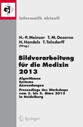 Cover: Bildverarbeitung f&uuml;r die Medizin 2013 - Springer