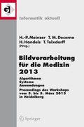 Cover: Bildverarbeitung f&uuml;r die Medizin 2013 - Springer