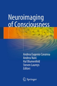 Bild: Neuroimaging of Consciousness - Springer