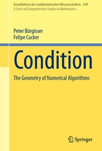 Abbildung von: Condition - Springer