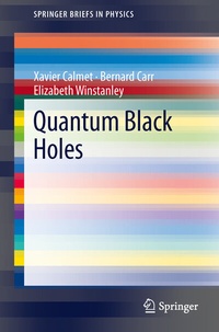 Abbildung von: Quantum Black Holes - Springer