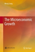 Bild: The Microeconomic Growth - Springer