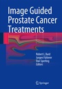 Cover: Image Guided Prostate Cancer Treatments - Springer