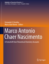 Abbildung von: Marco Antonio Chaer Nascimento - Springer