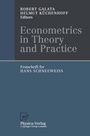 Cover: Econometrics in Theory and Practice - Physica