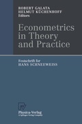 Cover: Econometrics in Theory and Practice - Physica