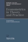 Cover: Econometrics in Theory and Practice - Physica