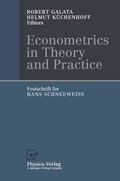 Cover: Econometrics in Theory and Practice - Physica