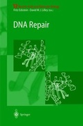 Cover: DNA Repair - Springer
