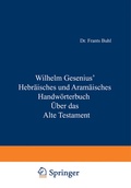 Cover: Hebr&auml;isches und Aram&auml;isches Handw&ouml;rterbuch &uuml;ber das Alte Testament - Springer