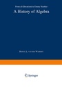 Cover: A History of Algebra - Springer
