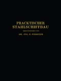 Cover: Praktischer Stahlschiffbau - Springer