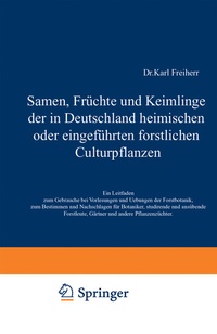 Abbildung von: Samen, Früchte und Keimlinge der in Deutschland heimischen oder eingeführten forstlichen Culturpflanzen - Springer