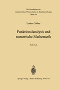 Cover: Funktionalanalysis und numerische Mathematik - Springer