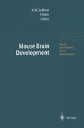 Cover: Mouse Brain Development - Springer