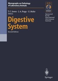 Cover: Digestive System - Springer
