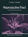 Cover: The Human Female Reproductive Tract - Springer