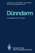 Cover: D&uuml;nndarm B - Springer