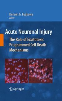 Abbildung von: Acute Neuronal Injury - Springer