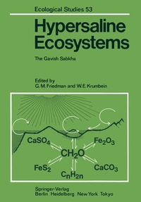Enlarge image Cover: Hypersaline Ecosystems - Springer