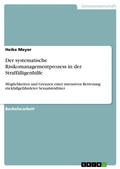Cover: Der systematische Risikomanagementprozess in der Straffaelligenhilfe - Grin Verlag