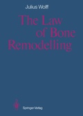 Cover: The Law of Bone Remodelling - Springer
