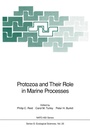 Cover: Protozoa and Their Role in Marine Processes - Springer