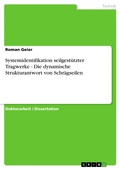 Cover: Systemidentifikation seilgest&uuml;tzter Tragwerke - Die dynamische Strukturantwort von Schr&auml;gseilen - GRIN Verlag